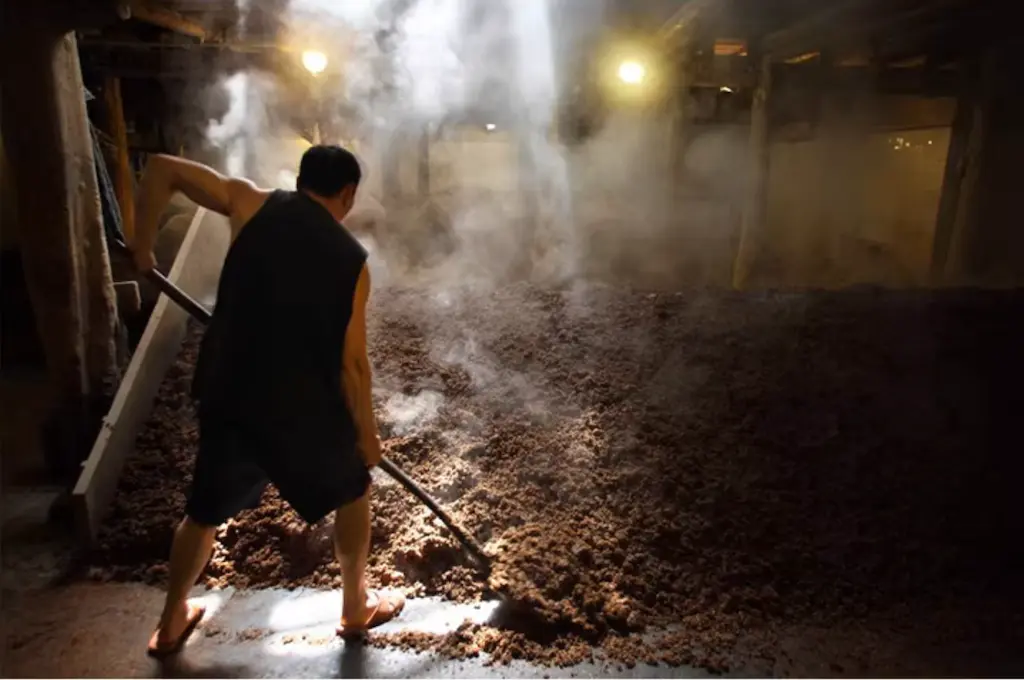 Chinese New Year: Celebrate with Chinese Spirits in Exquisite Glass Bottle Packaging